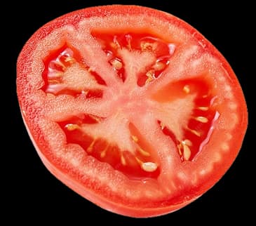 Fresh organic tomato slice